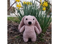 Stuffed Bunny