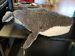 Stuffed Humpback Whale